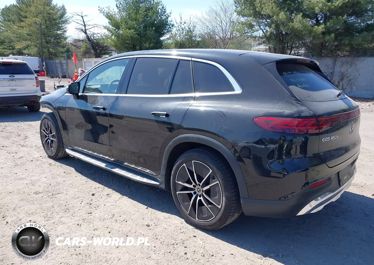 2023 Mercedes-Benz Eqs 450+ Suv VIN:4JGDM2DB3PA010695 - 3