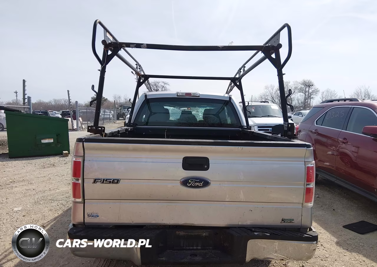 2011 Ford F-150 Stx VIN:1FTEX1CM8BFA36511 - 15