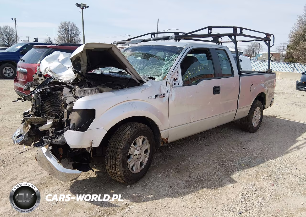 2011 Ford F-150 Stx VIN:1FTEX1CM8BFA36511 - 2