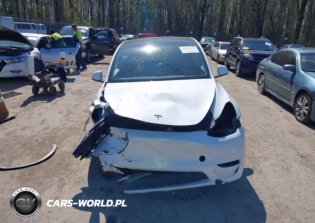 2023 Tesla Model Y Awd-Long Range Dual Motor All-Wheel Drive VIN:7SAYGDEE8PF805124 - 12
