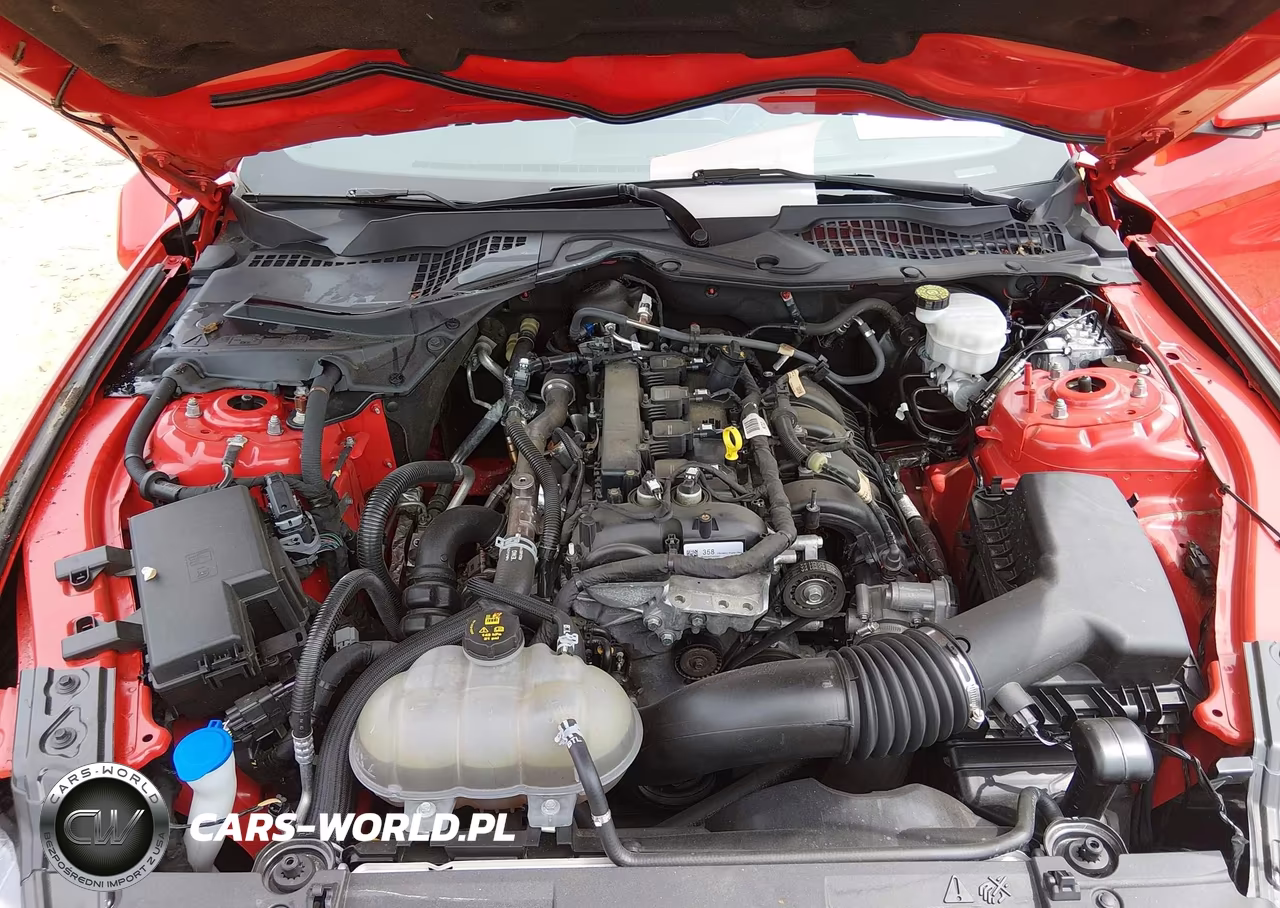 2020 Ford Mustang Ecoboost Premium Fastback VIN:1FA6P8THXL5181417 - 10