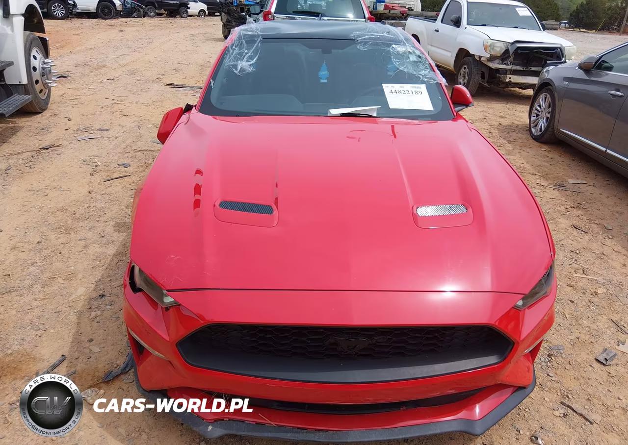 2020 Ford Mustang Ecoboost Premium Fastback VIN:1FA6P8THXL5181417 - 13