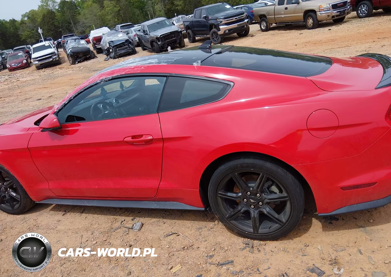 2020 Ford Mustang Ecoboost Premium Fastback VIN:1FA6P8THXL5181417 - 15