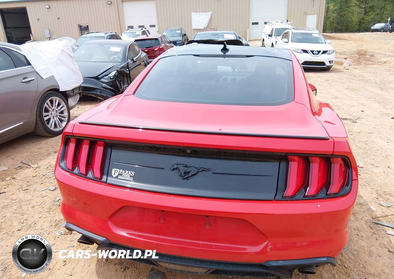 2020 Ford Mustang Ecoboost Premium Fastback VIN:1FA6P8THXL5181417 - 17