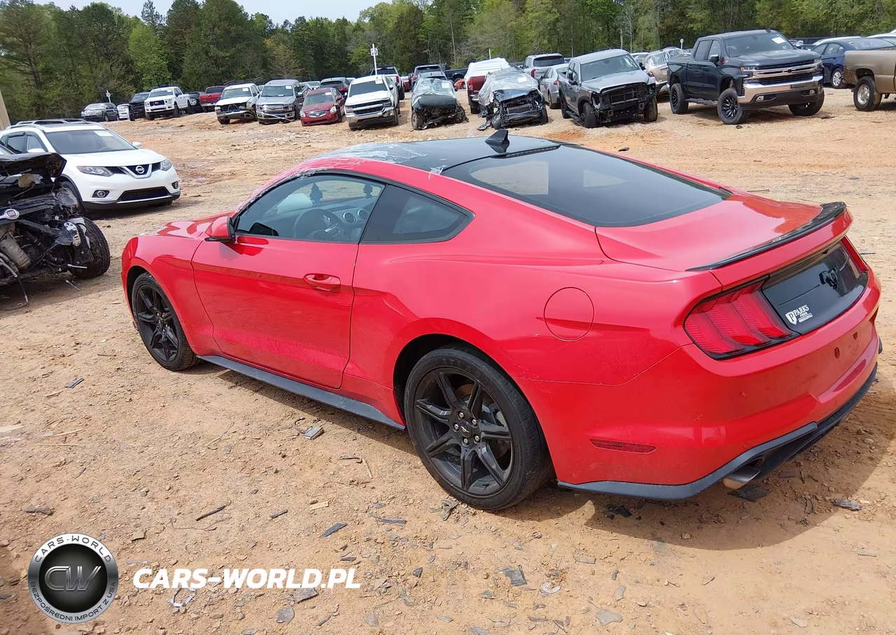 2020 Ford Mustang Ecoboost Premium Fastback VIN:1FA6P8THXL5181417 - 3
