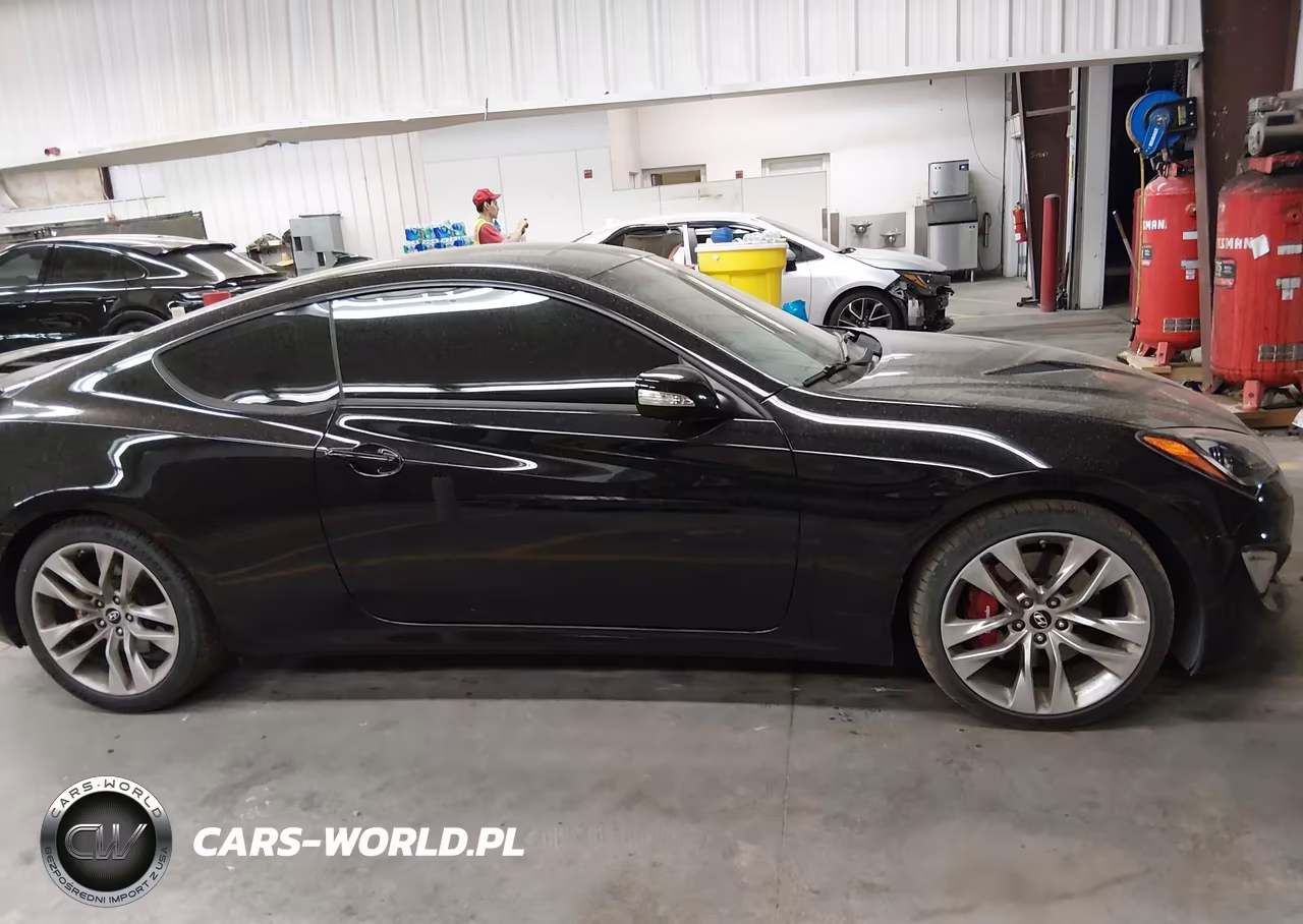 2016 Hyundai Genesis 3.8 Ultimate VIN:KMHHU6KJ9GU136688 - 13