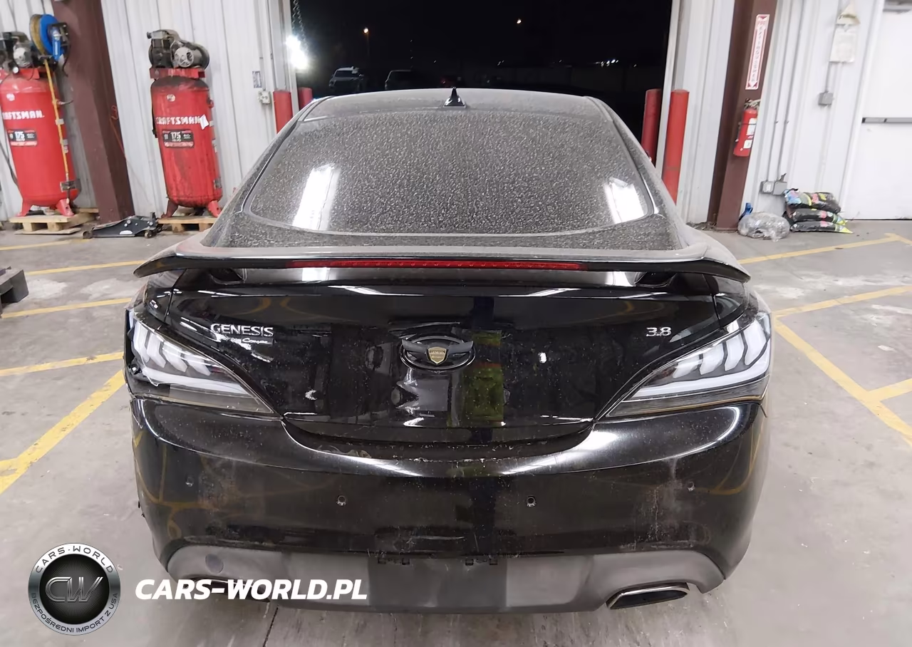 2016 Hyundai Genesis 3.8 Ultimate VIN:KMHHU6KJ9GU136688 - 16
