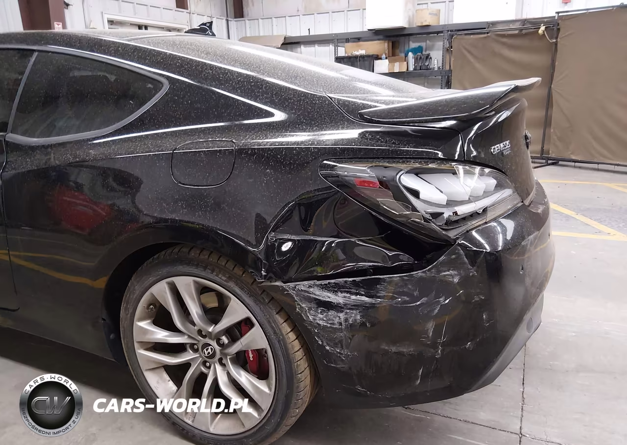 2016 Hyundai Genesis 3.8 Ultimate VIN:KMHHU6KJ9GU136688 - 6