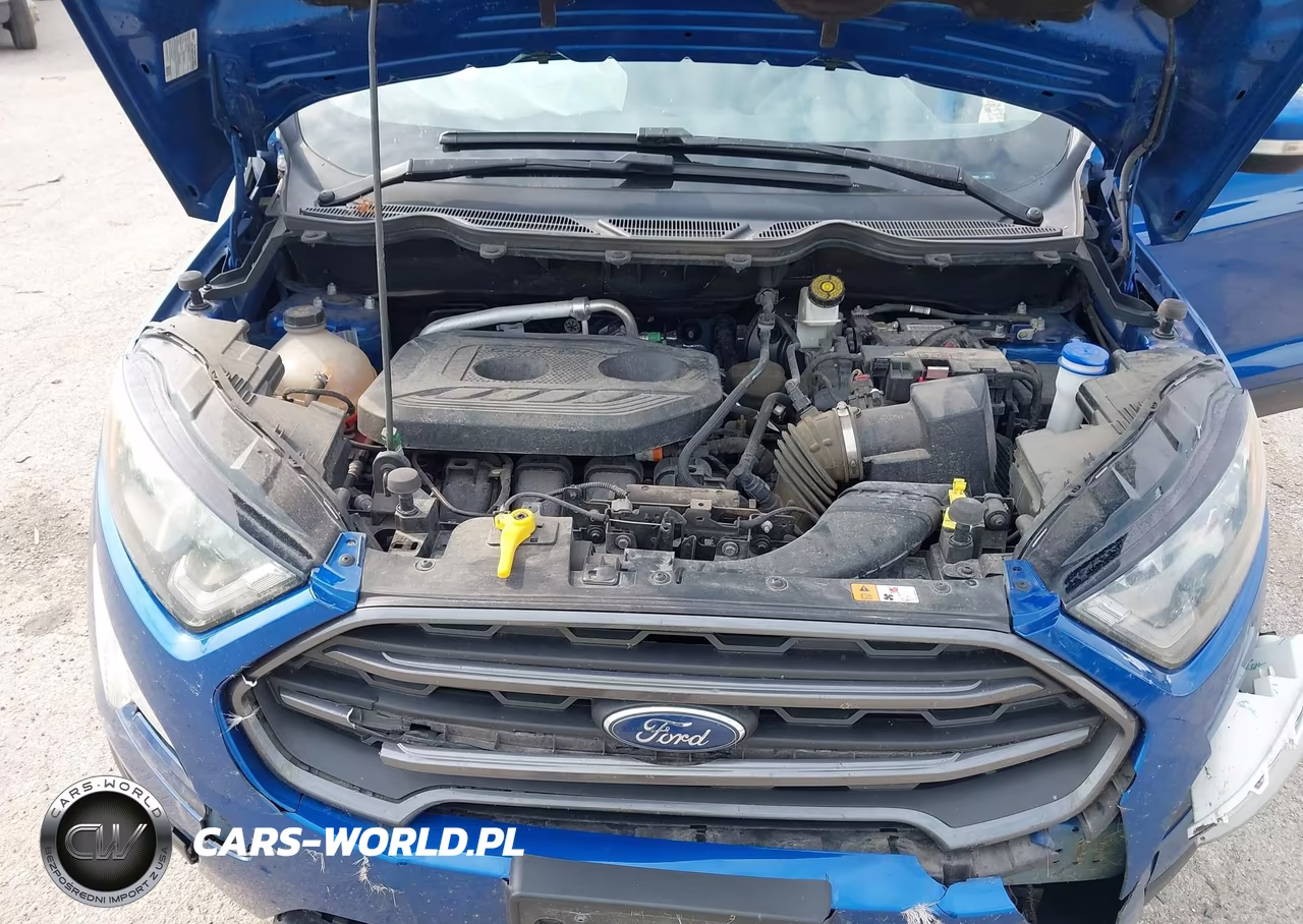 2018 Ford Ecosport Ses VIN:MAJ6P1CL6JC200422 - 10