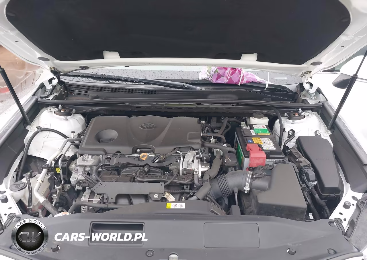 2019 Toyota Camry Le VIN:4T1B11HK7KU846358 - 10