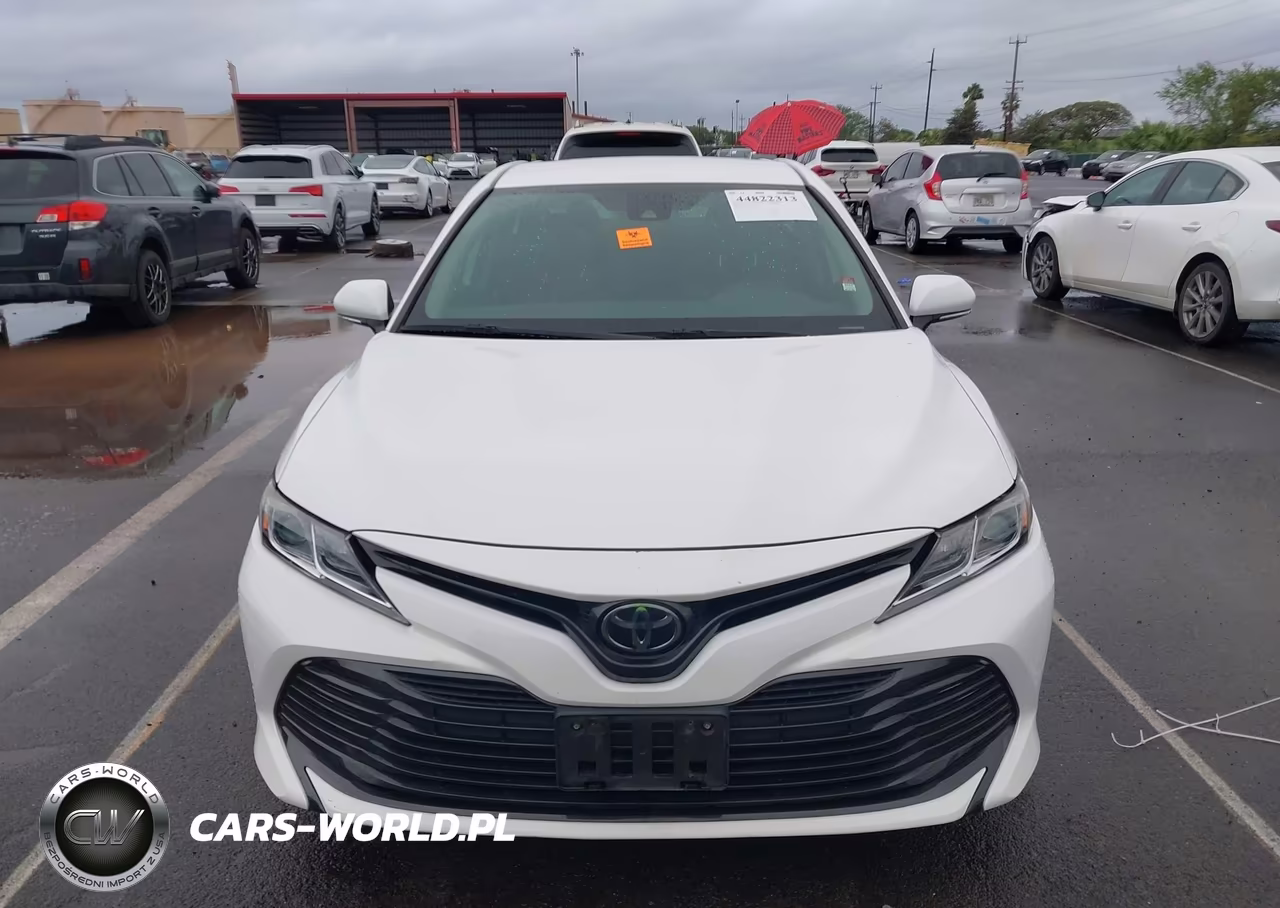 2019 Toyota Camry Le VIN:4T1B11HK7KU846358 - 11
