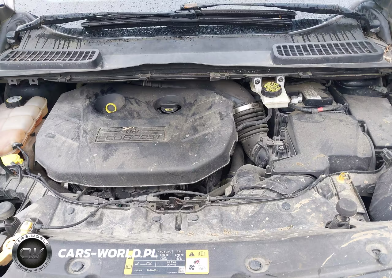 2013 Ford Escape Sel VIN:1FMCU9H90DUB66294 - 10