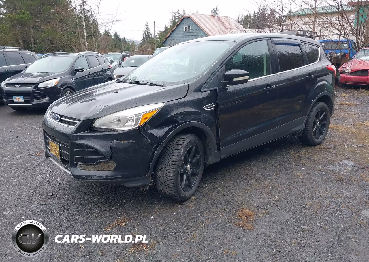 2013 Ford Escape Sel VIN:1FMCU9H90DUB66294 - 2