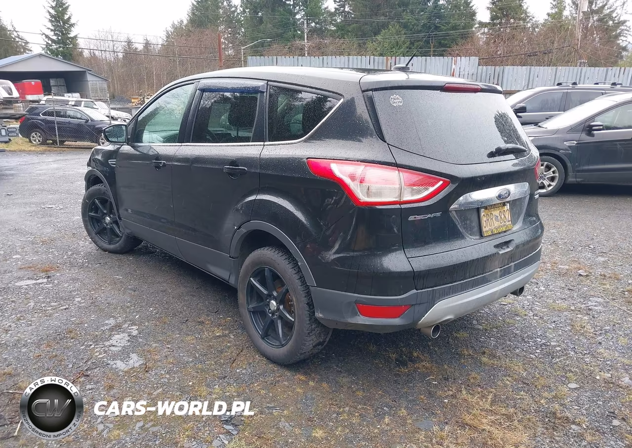 2013 Ford Escape Sel VIN:1FMCU9H90DUB66294 - 3