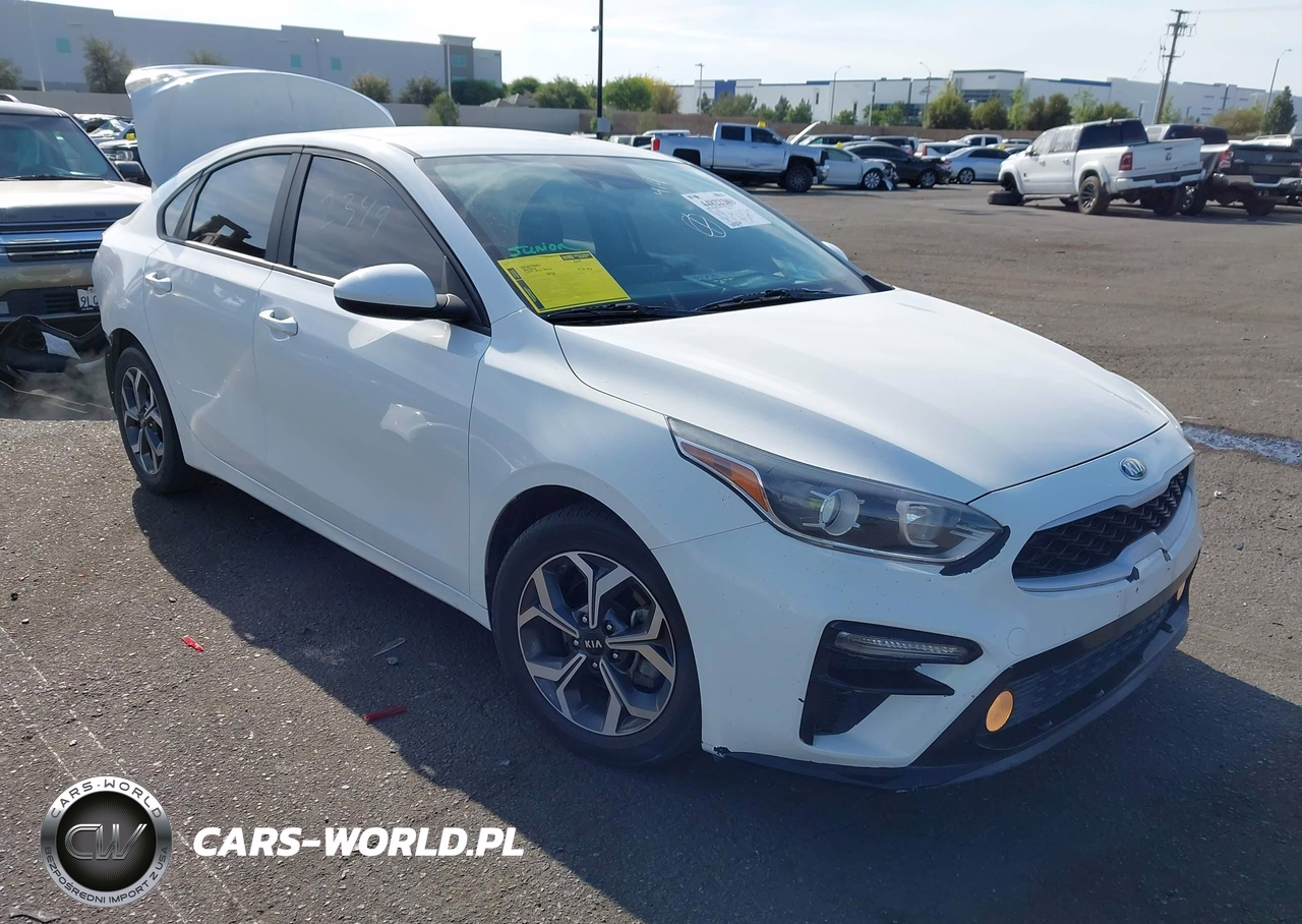 2019 Kia Forte Lxs
