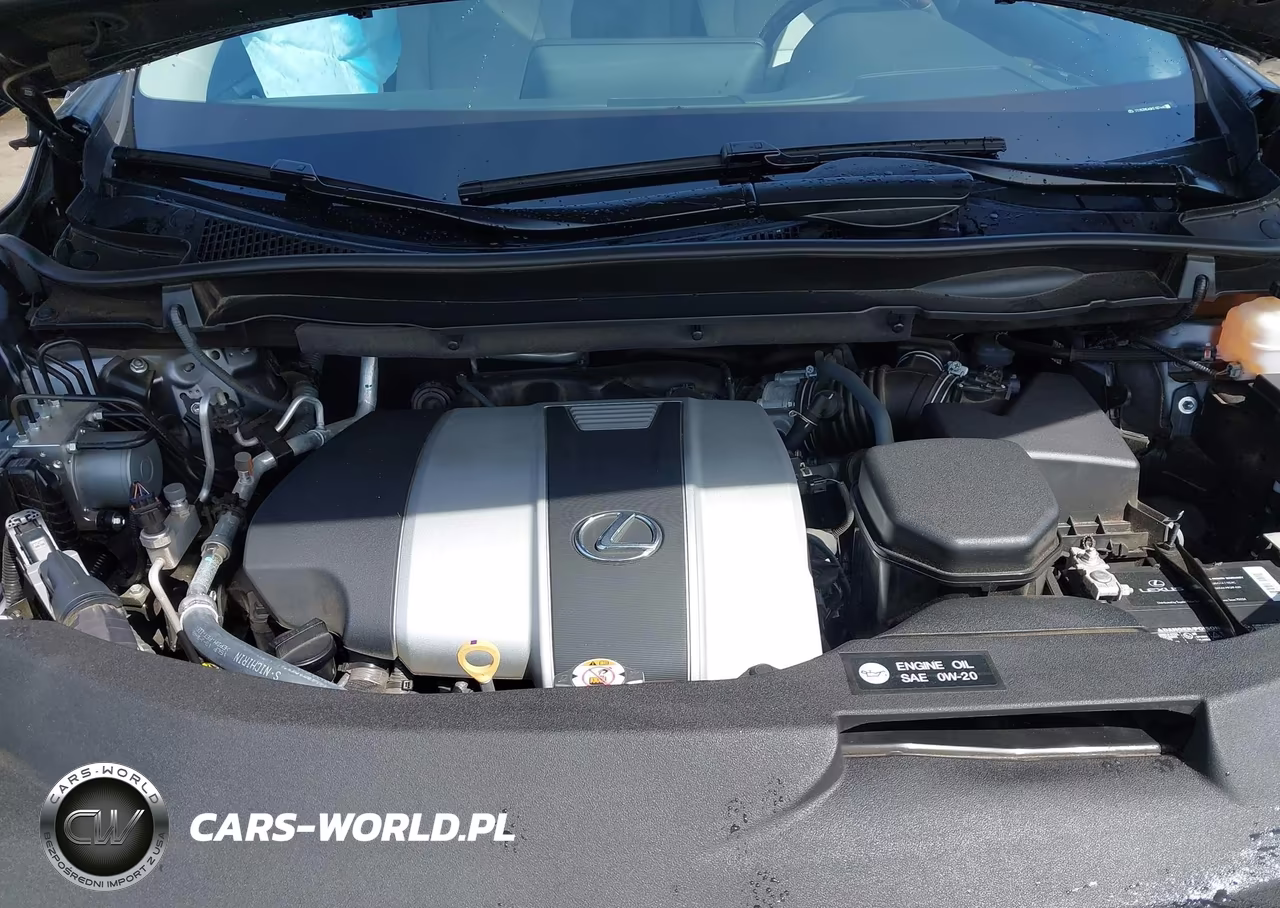 2019 Lexus Rx 350 VIN:2T2BZMCA9KC187446 - 10