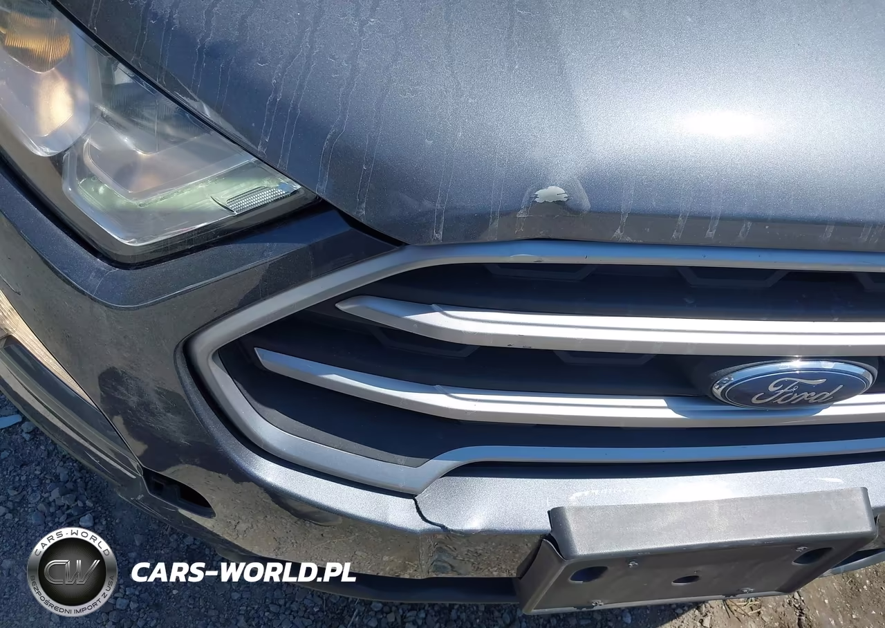 2020 Ford Ecosport Se VIN:MAJ6S3GL3LC336112 - 12