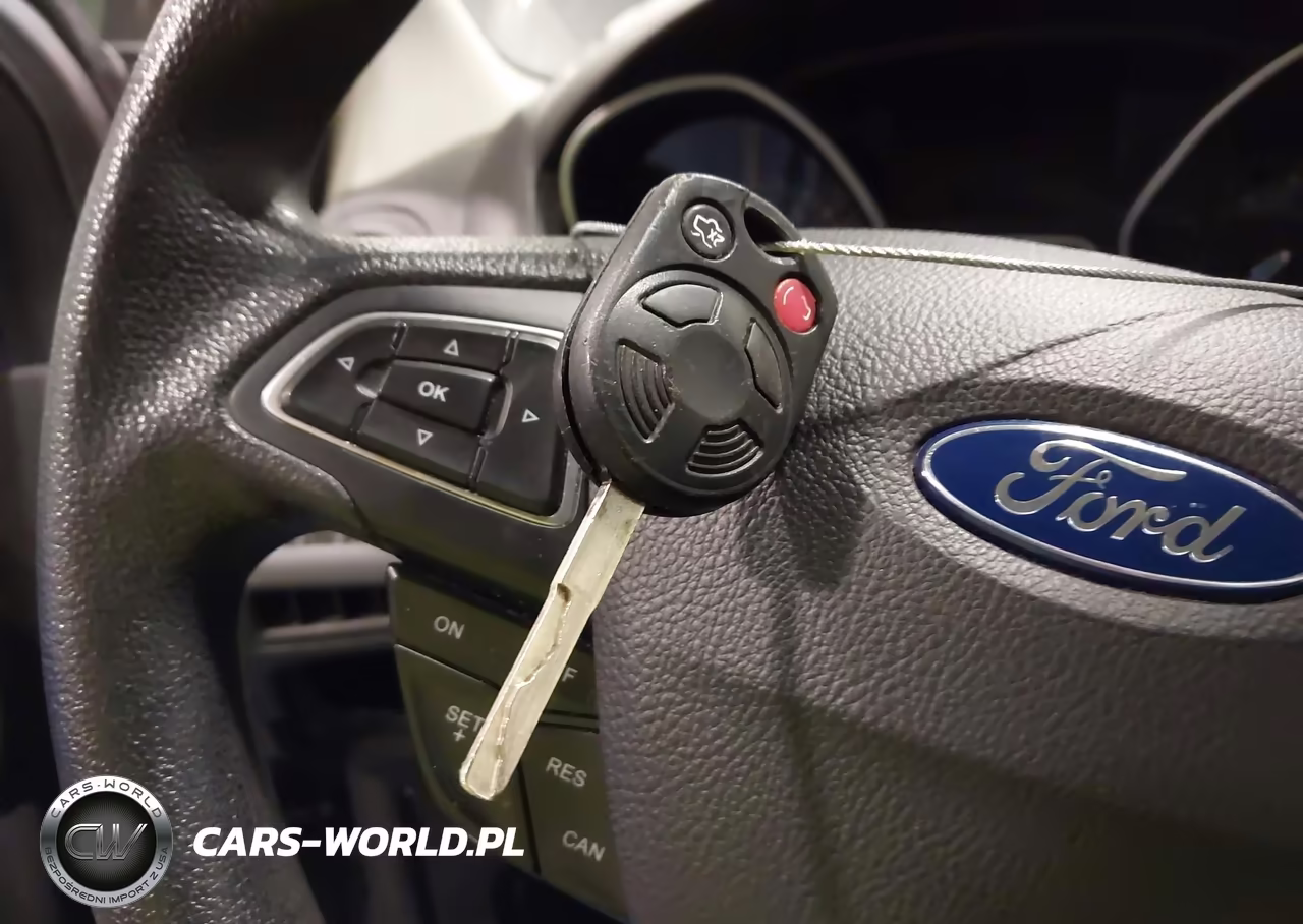 2016 Ford Focus Se VIN:1FADP3F29GL391493 - 11