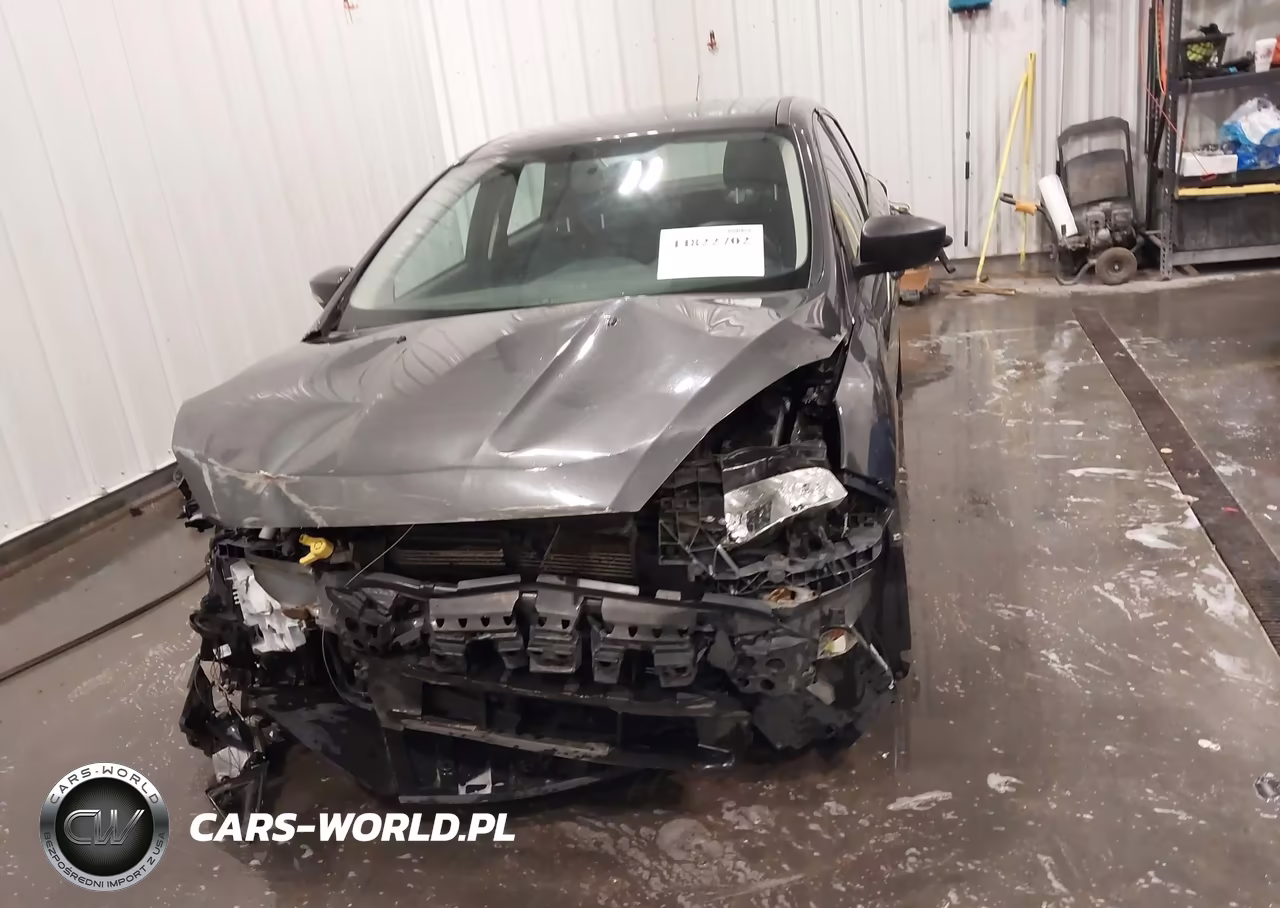 2016 Ford Focus Se VIN:1FADP3F29GL391493 - 13