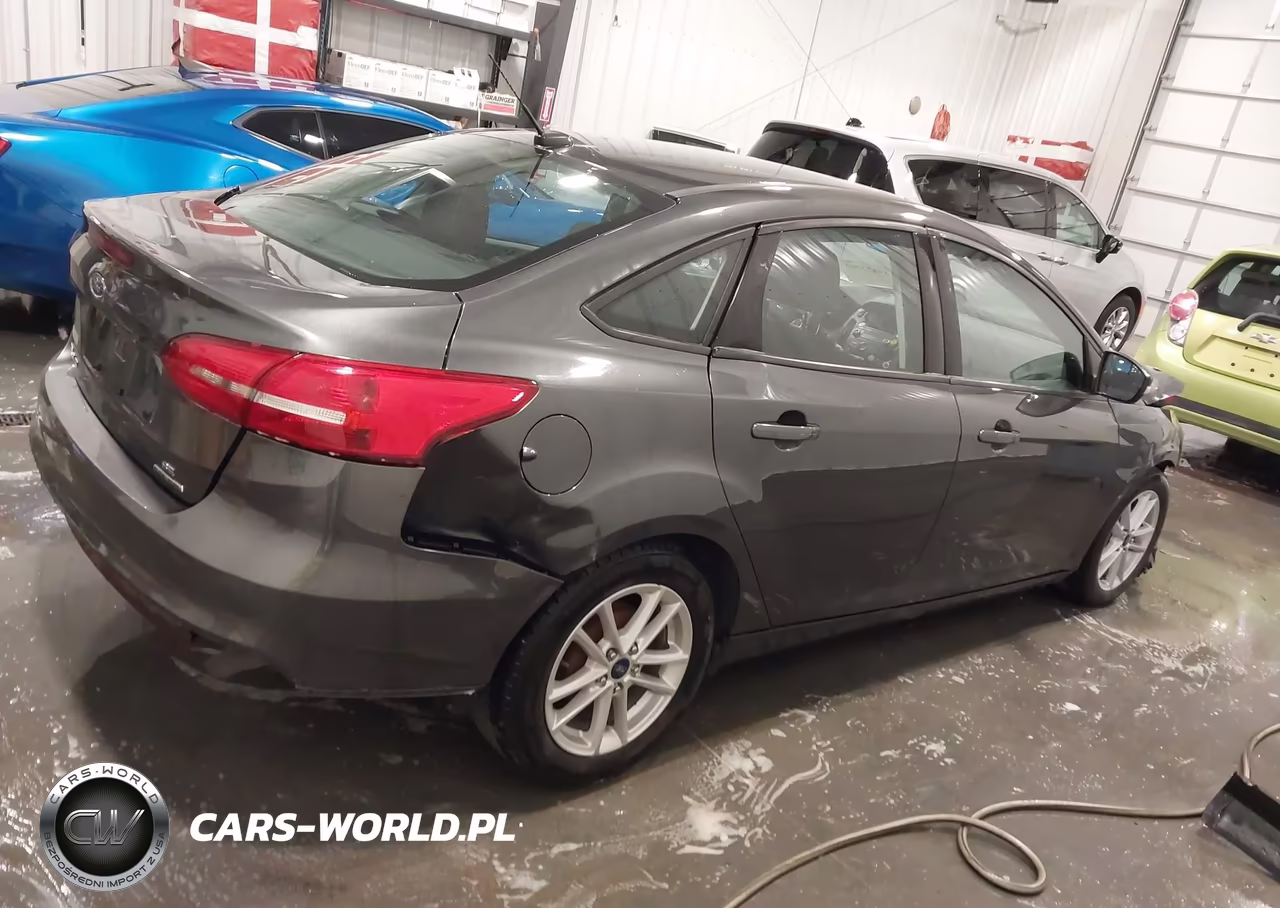 2016 Ford Focus Se VIN:1FADP3F29GL391493 - 14