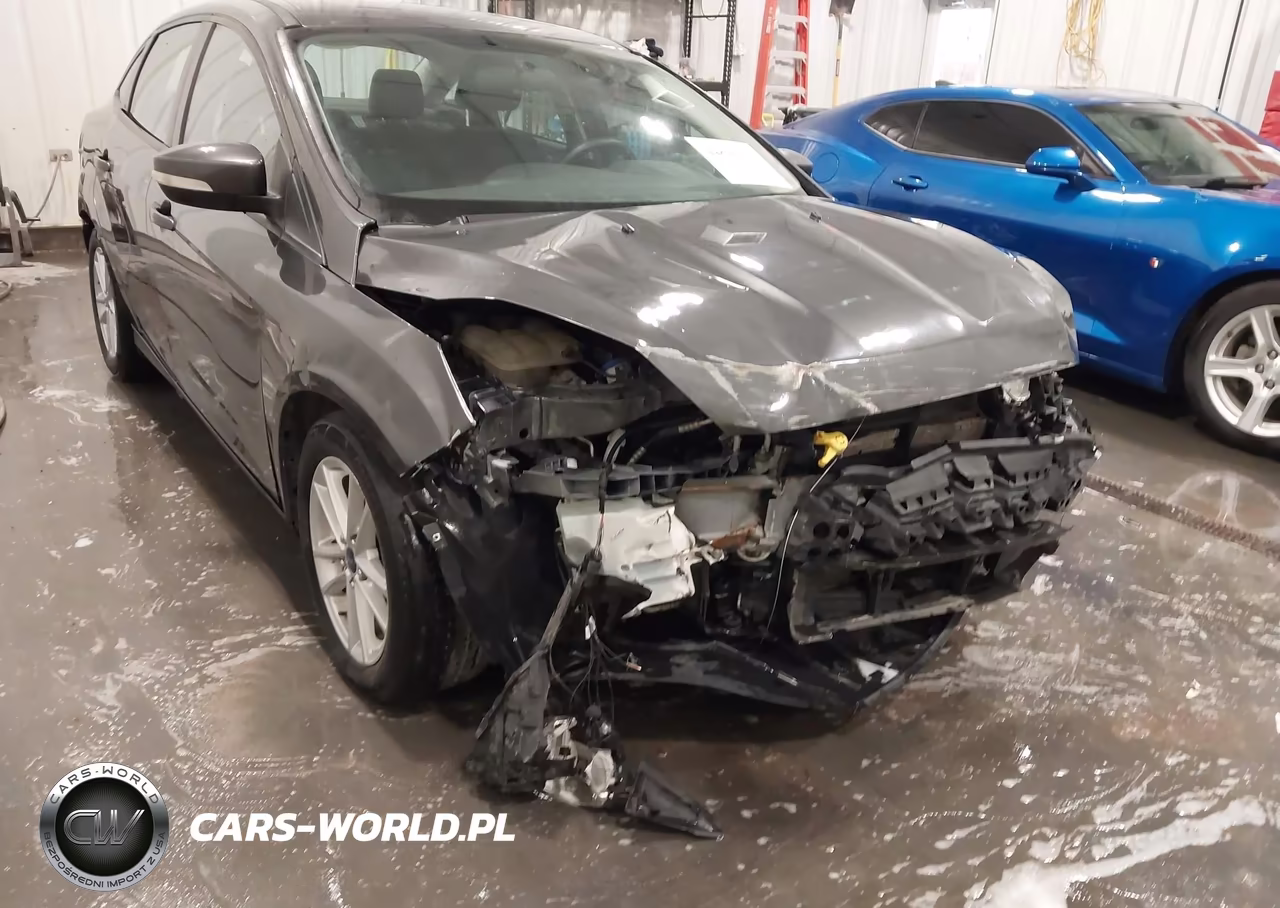 2016 Ford Focus Se VIN:1FADP3F29GL391493 - 6