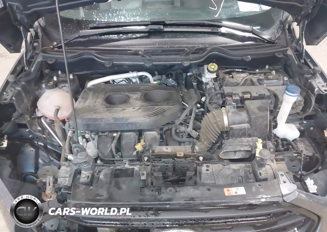 2019 Ford Ecosport S VIN:MAJ6S3FL4KC264160 - 10