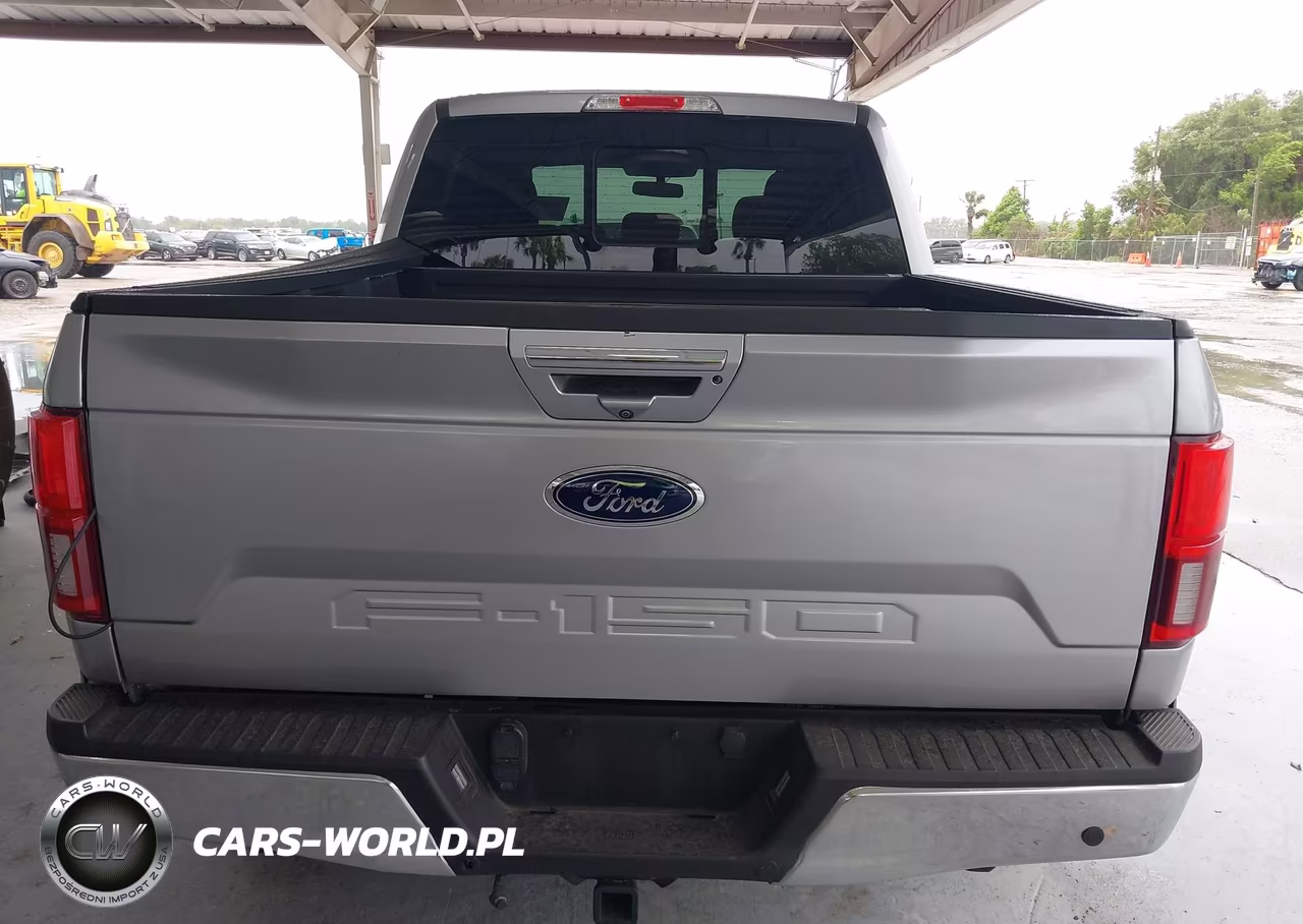 2020 Ford F-150 Lariat VIN:1FTEW1E51LFA46209 - 17