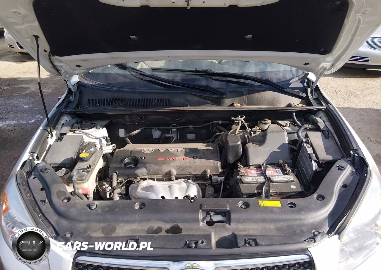 2008 Toyota Rav4 Limited VIN:JTMBD31V685182519 - 10