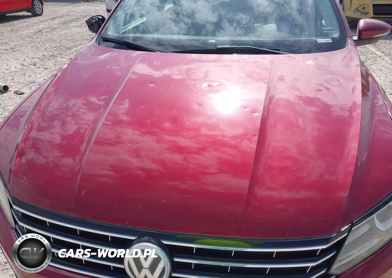 2016 Volkswagen Passat 1.8T Se VIN:1VWBT7A39GC048457 - 17