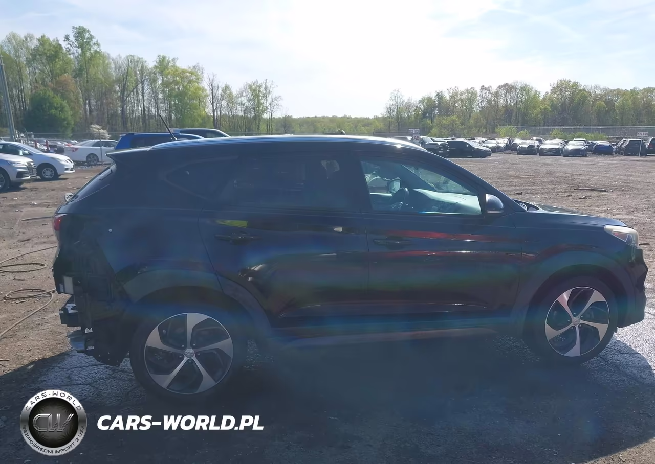 2016 Hyundai Tucson Sport VIN:KM8J3CA26GU044306 - 14