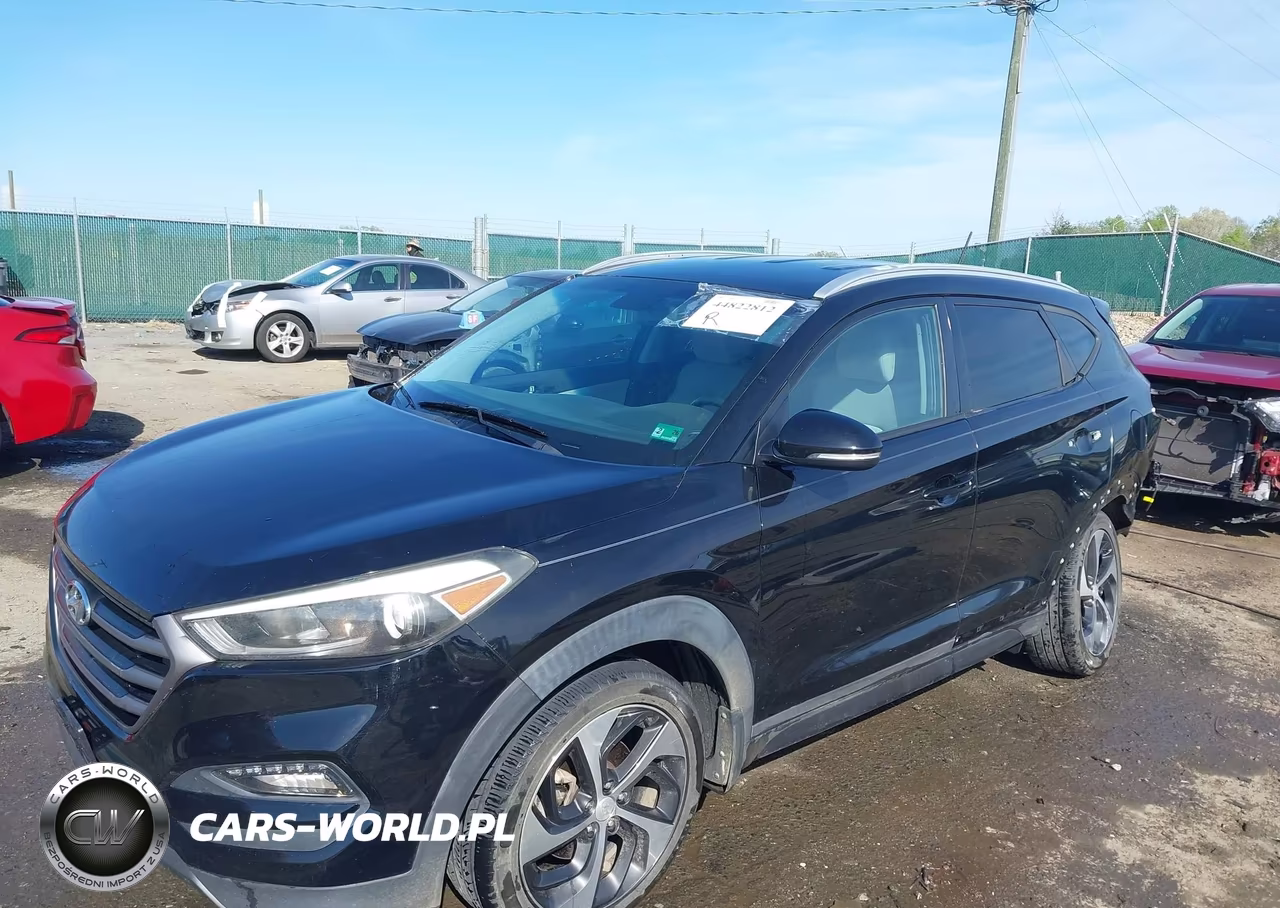 2016 Hyundai Tucson Sport VIN:KM8J3CA26GU044306 - 2