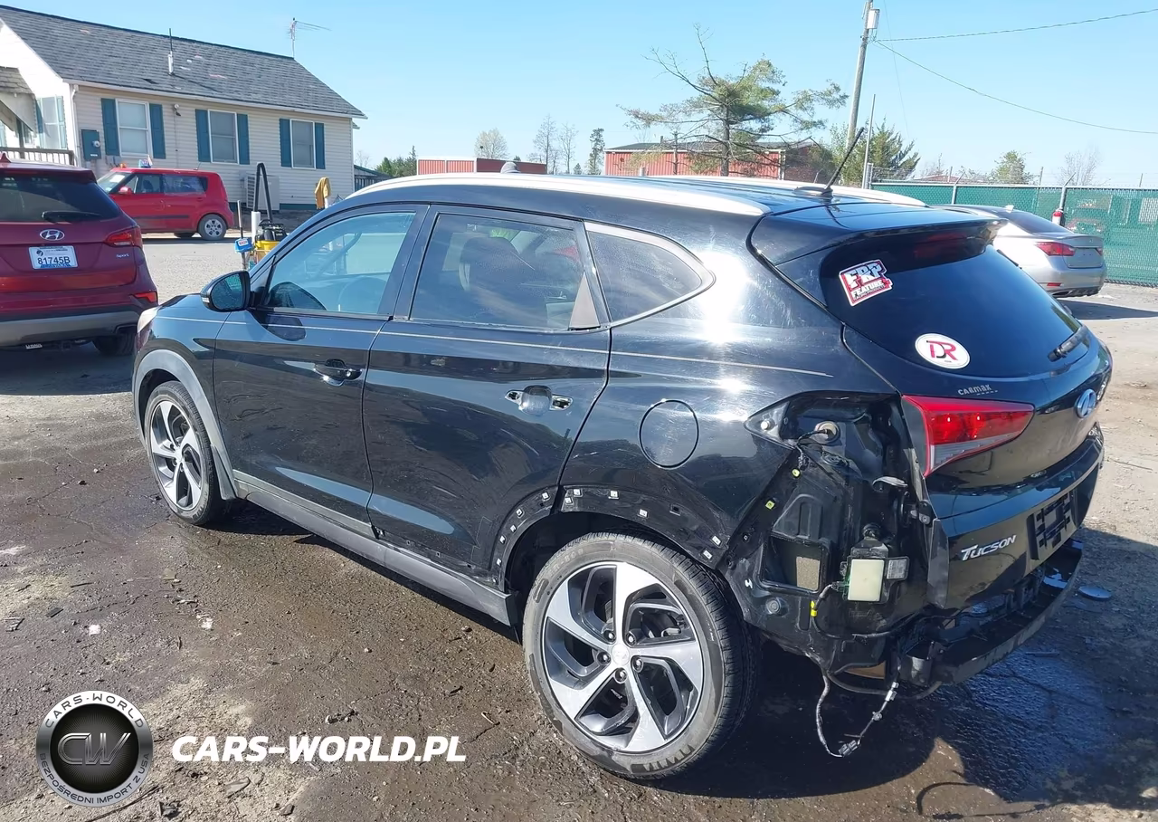 2016 Hyundai Tucson Sport VIN:KM8J3CA26GU044306 - 3