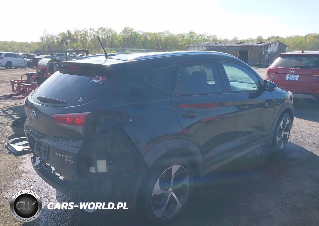 2016 Hyundai Tucson Sport VIN:KM8J3CA26GU044306 - 4