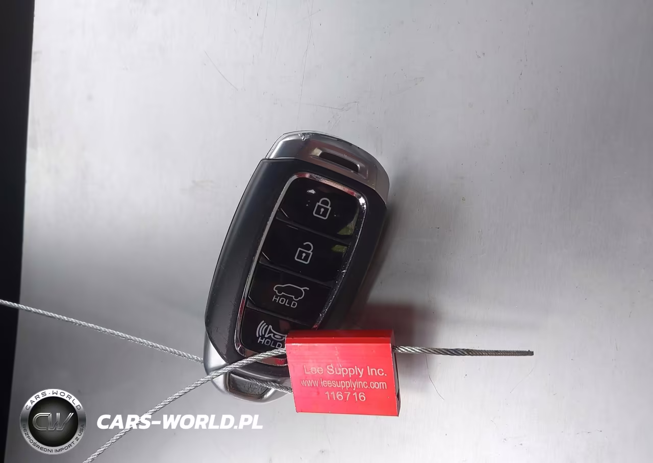2020 Hyundai Santa Fe Limited VIN:5NMS5CAD0LH195678 - 11