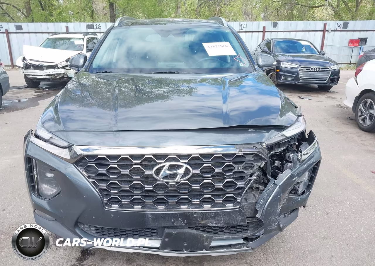 2020 Hyundai Santa Fe Limited VIN:5NMS5CAD0LH195678 - 12