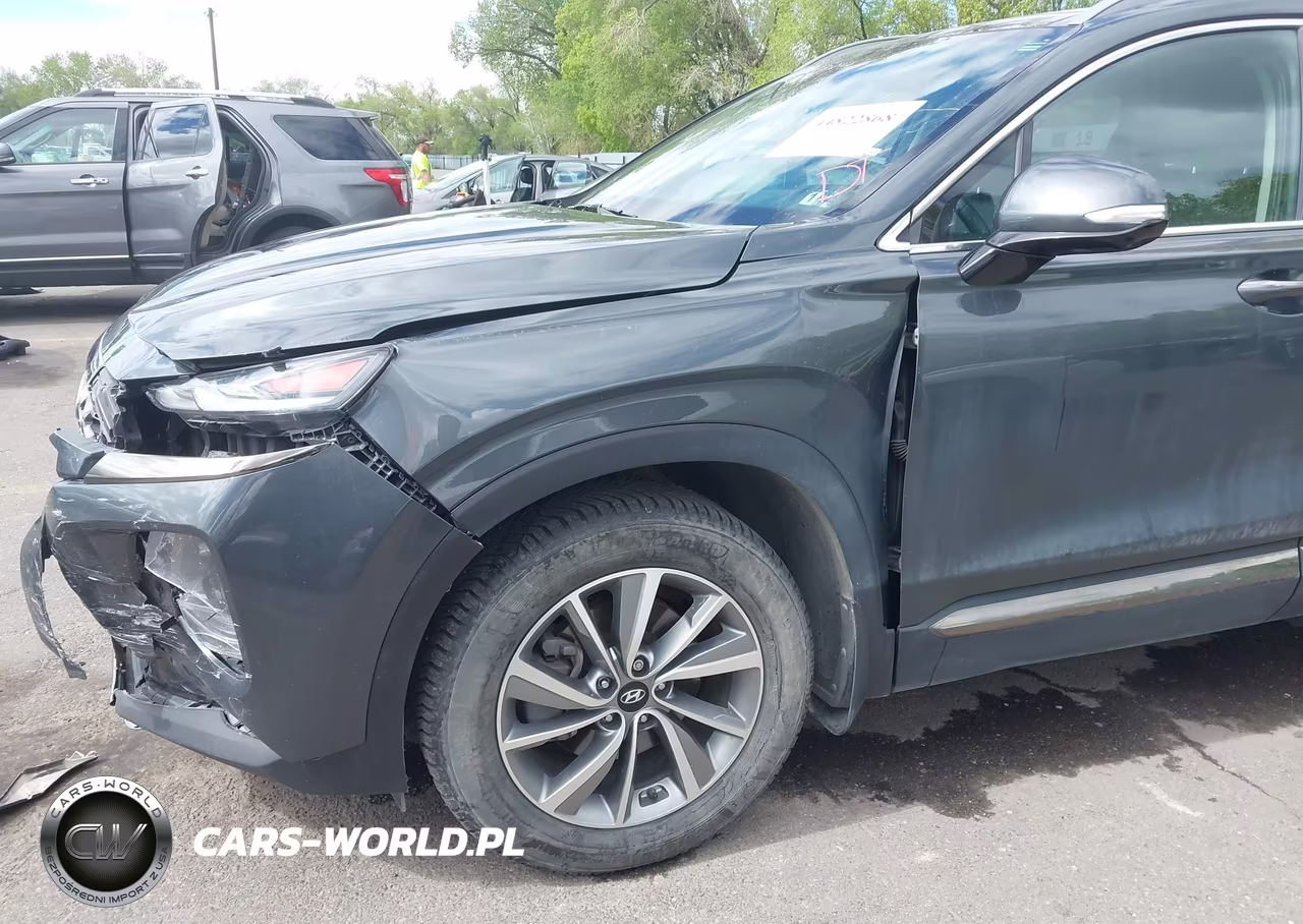 2020 Hyundai Santa Fe Limited VIN:5NMS5CAD0LH195678 - 17