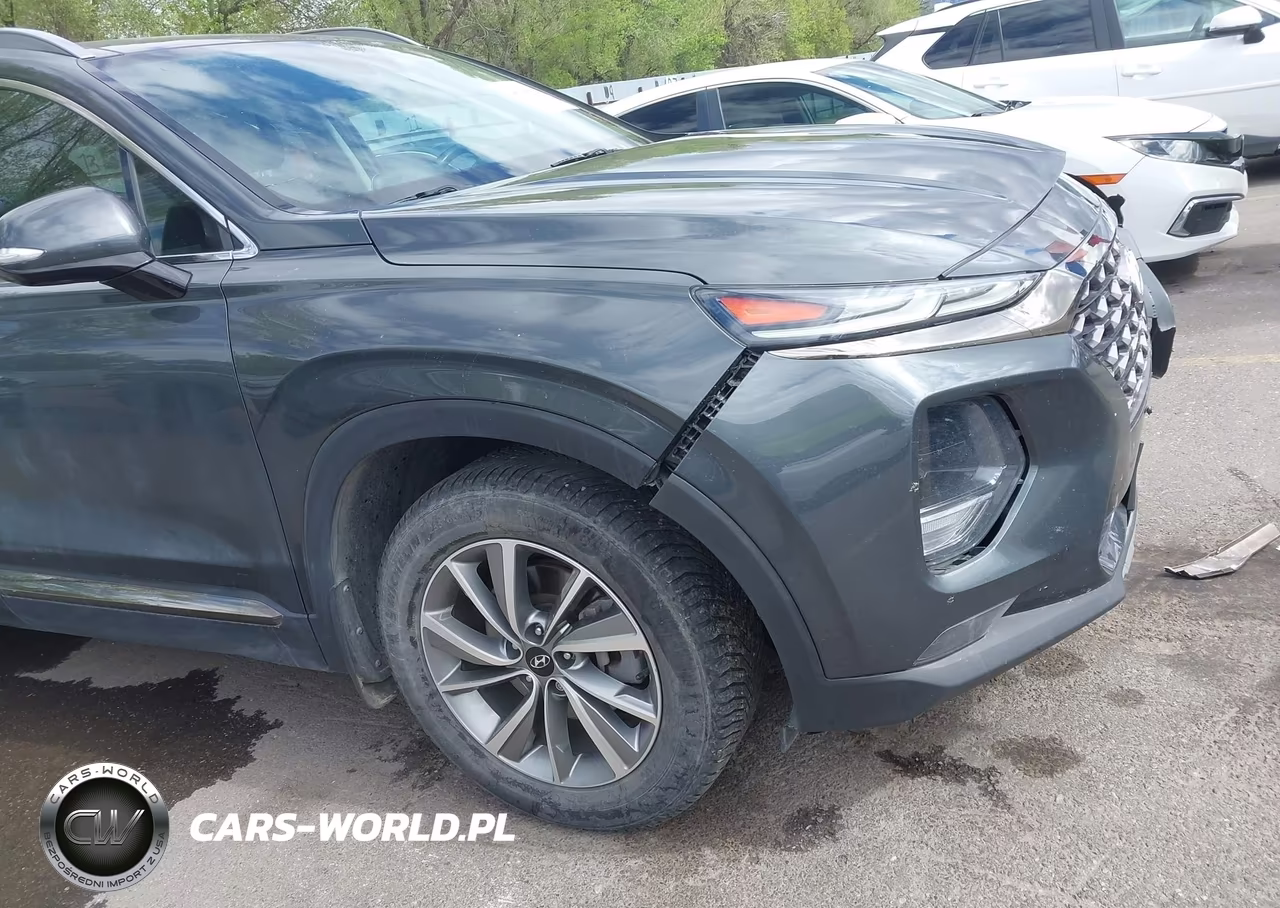 2020 Hyundai Santa Fe Limited VIN:5NMS5CAD0LH195678 - 19
