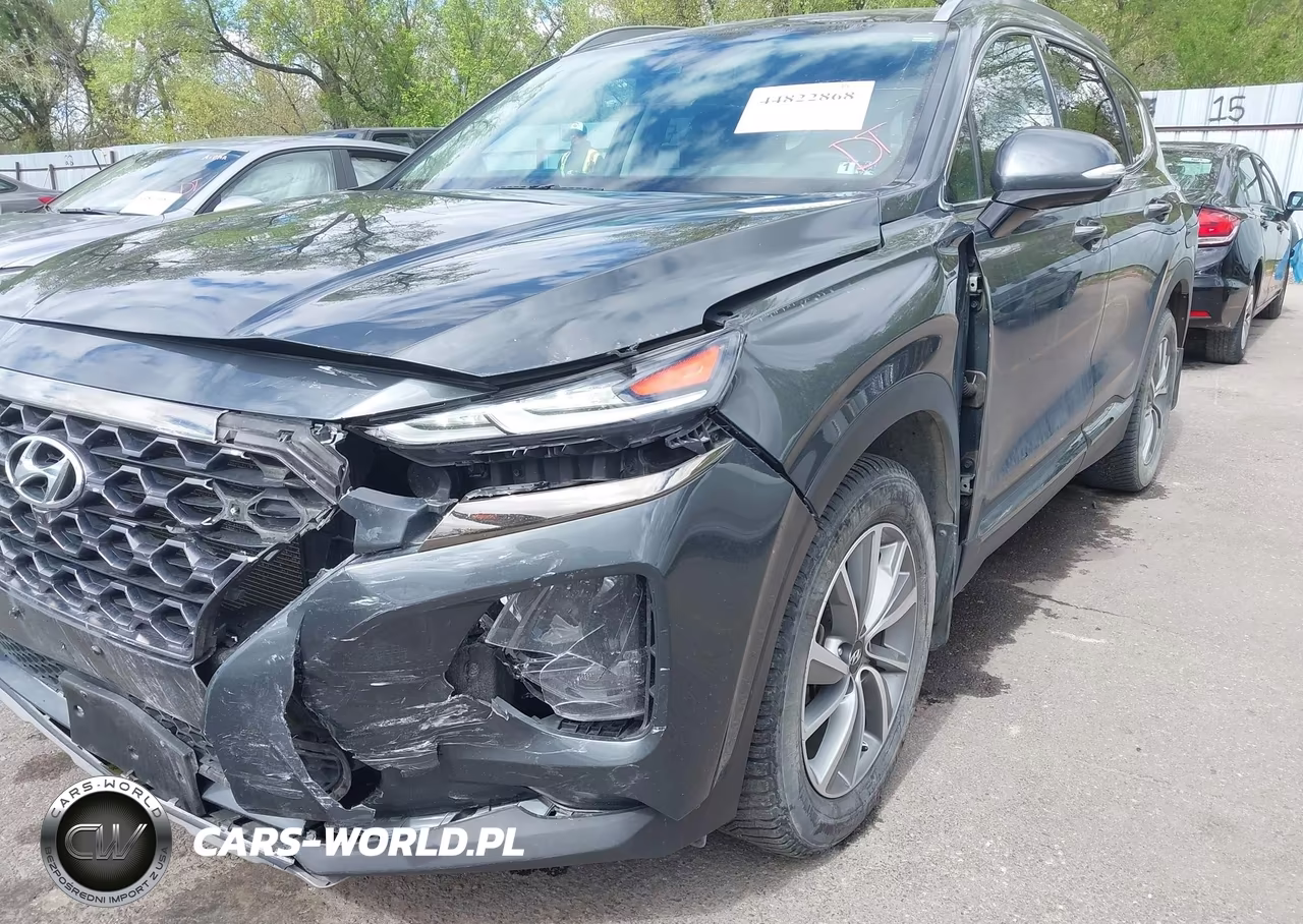 2020 Hyundai Santa Fe Limited VIN:5NMS5CAD0LH195678 - 6