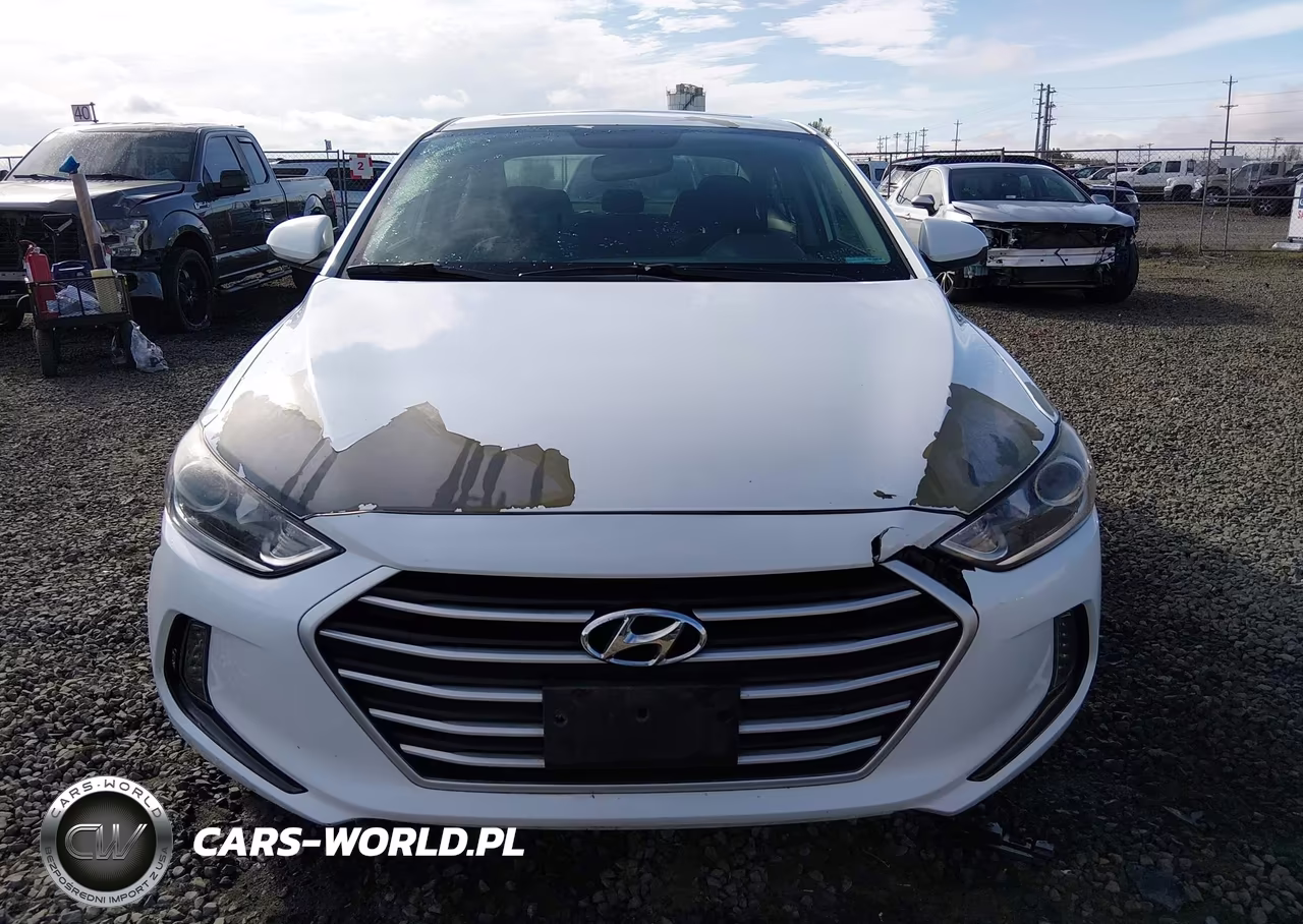 2018 Hyundai Elantra Value Edition VIN:5NPD84LF9JH317541 - 12