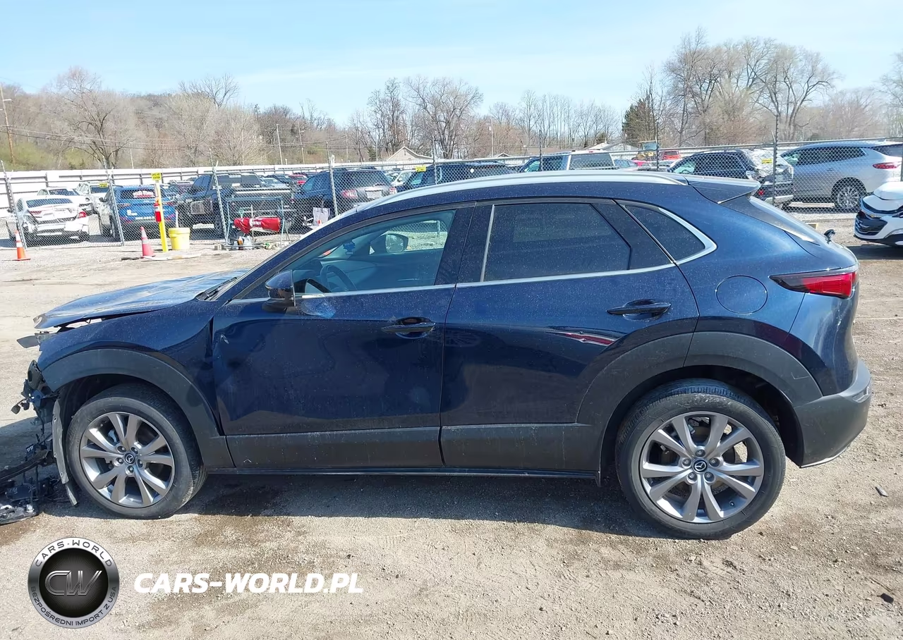 2023 Mazda Cx-30 2.5 S Premium VIN:3MVDMBDM9PM518371 - 15