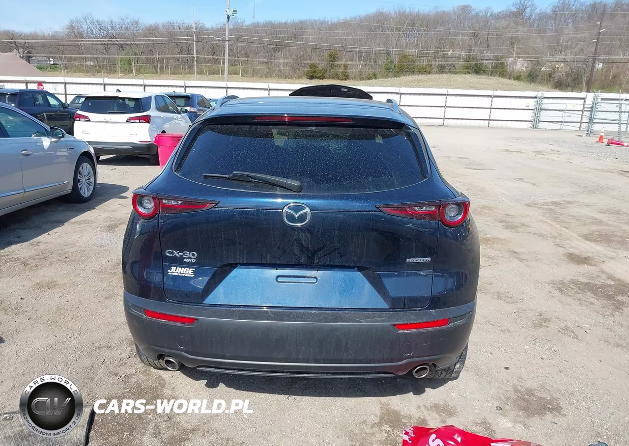 2023 Mazda Cx-30 2.5 S Premium VIN:3MVDMBDM9PM518371 - 17
