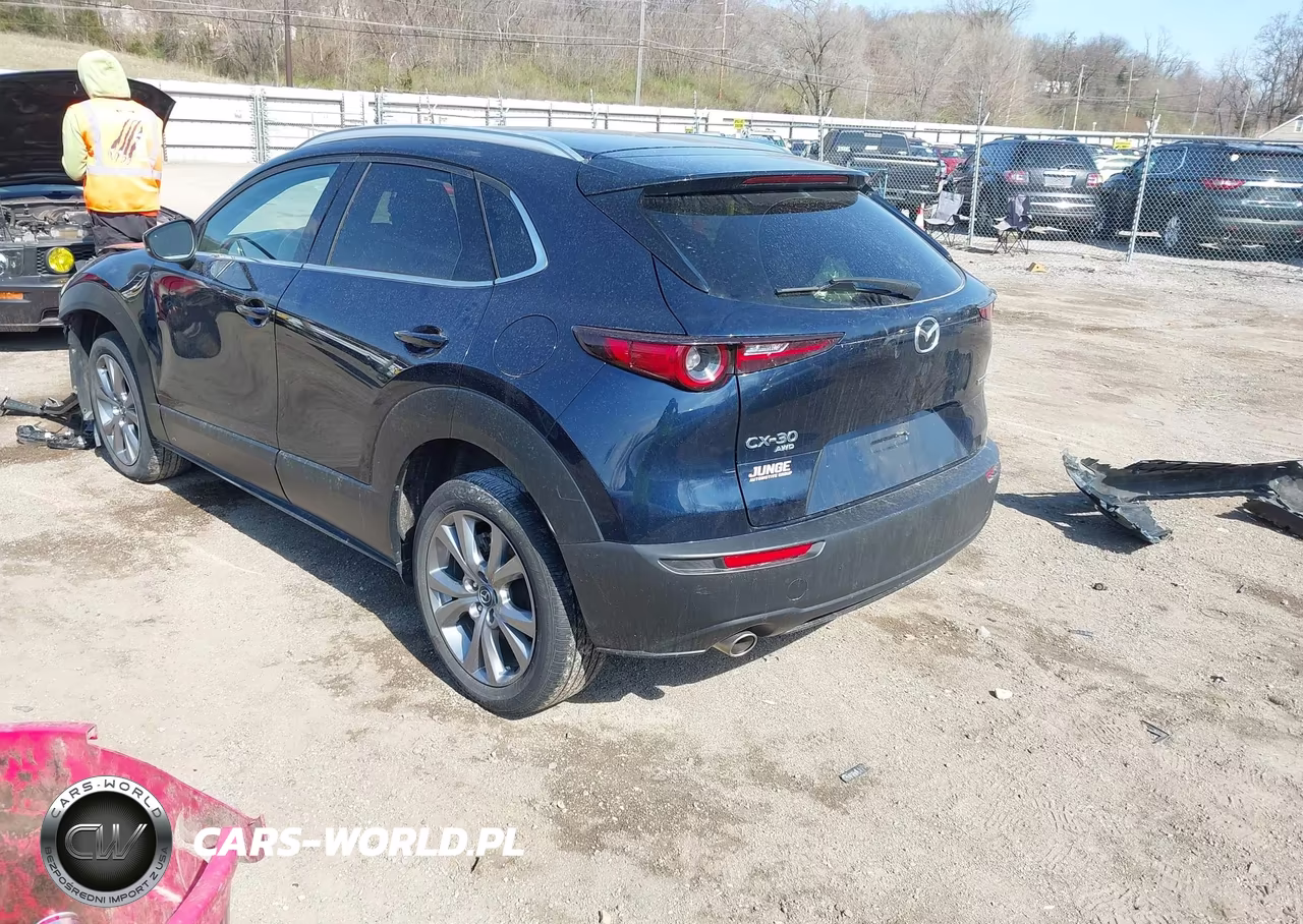 2023 Mazda Cx-30 2.5 S Premium VIN:3MVDMBDM9PM518371 - 3