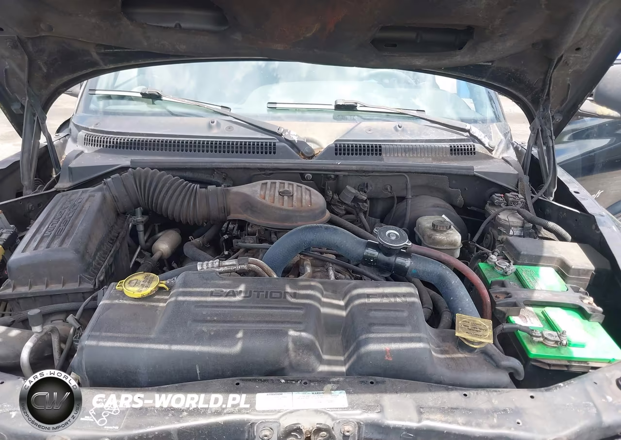 2000 Dodge Durango VIN:1B4HS28Z0YF295263 - 10