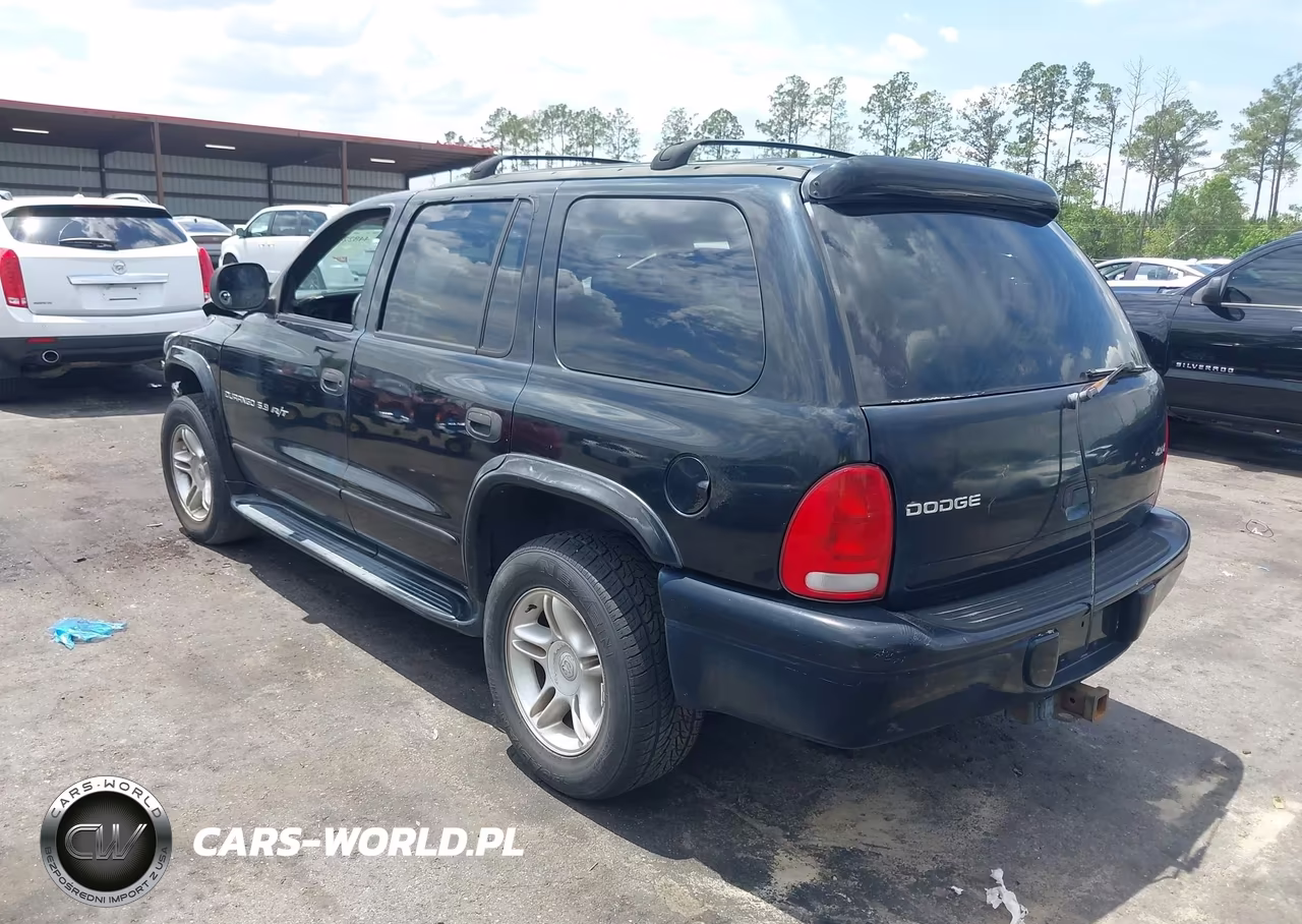 2000 Dodge Durango VIN:1B4HS28Z0YF295263 - 3