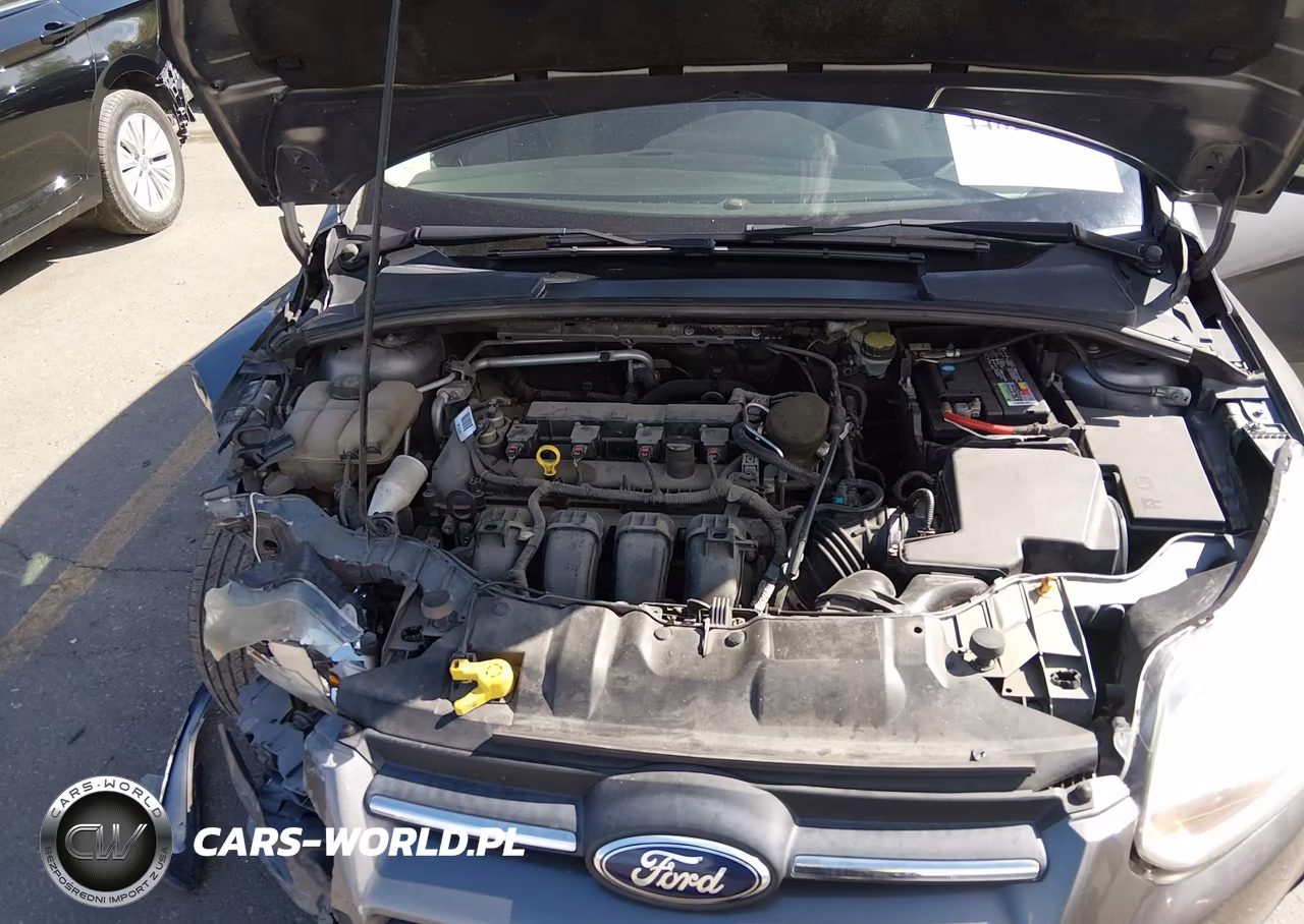 2014 Ford Focus Se VIN:1FADP3K29EL462016 - 10