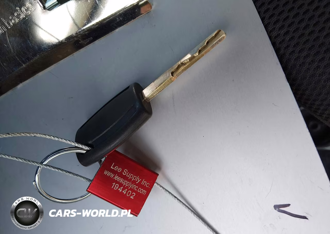 2014 Ford Focus Se VIN:1FADP3K29EL462016 - 11