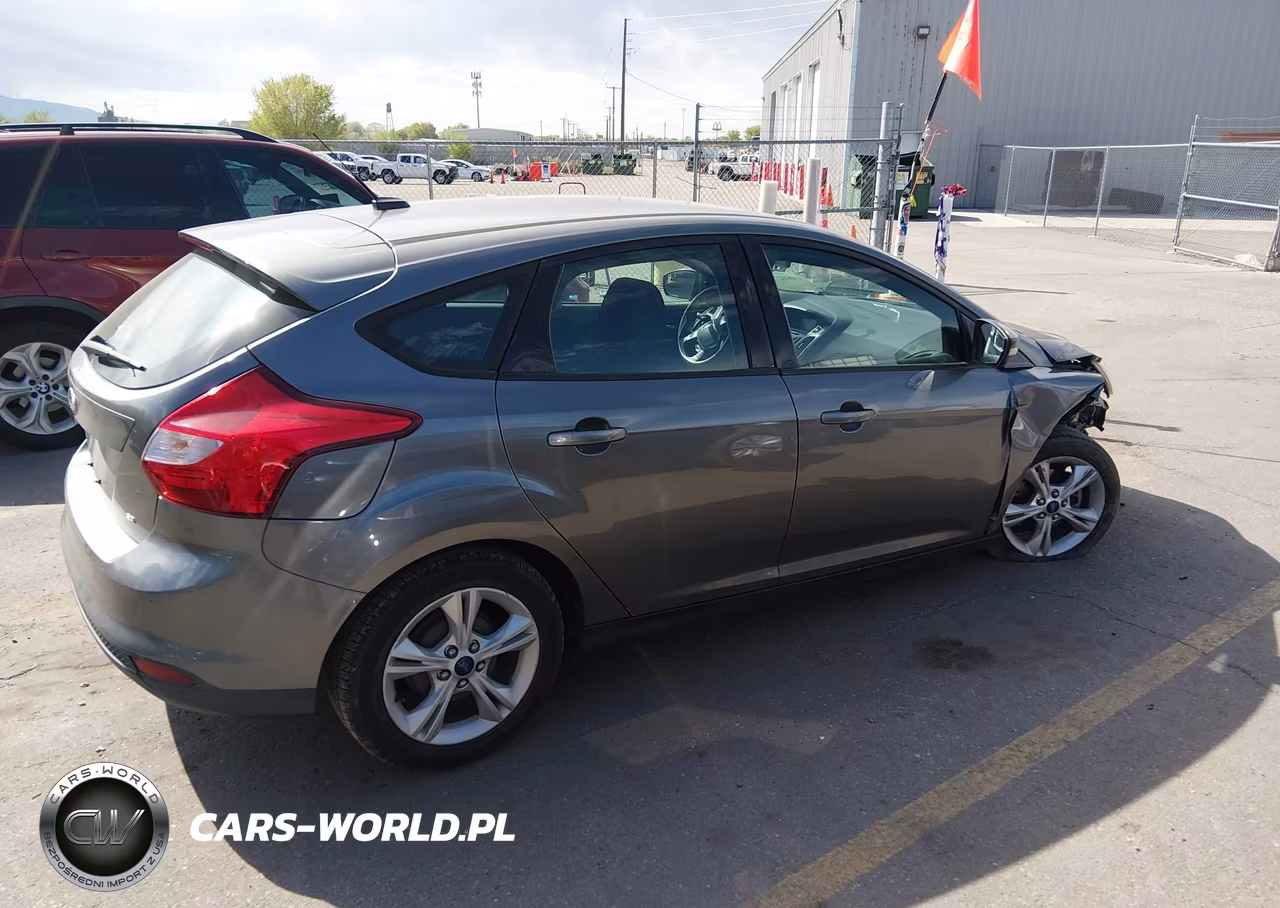 2014 Ford Focus Se VIN:1FADP3K29EL462016 - 13