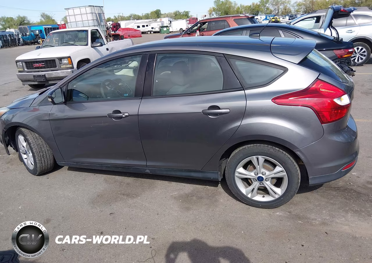 2014 Ford Focus Se VIN:1FADP3K29EL462016 - 14