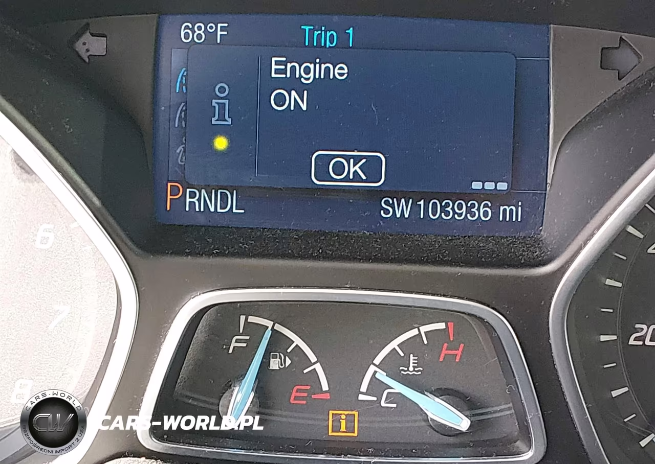 2014 Ford Focus Se VIN:1FADP3K29EL462016 - 15