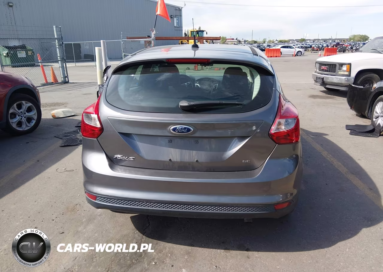2014 Ford Focus Se VIN:1FADP3K29EL462016 - 16